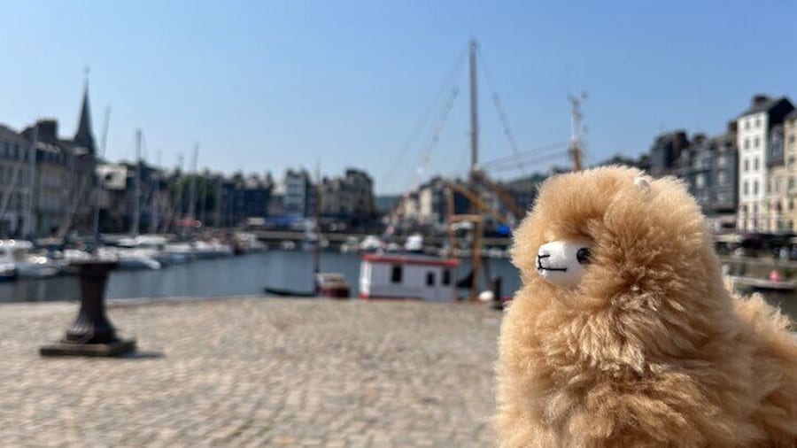 2-Days Customisable Private Guided Tour in Normandy & Brittany