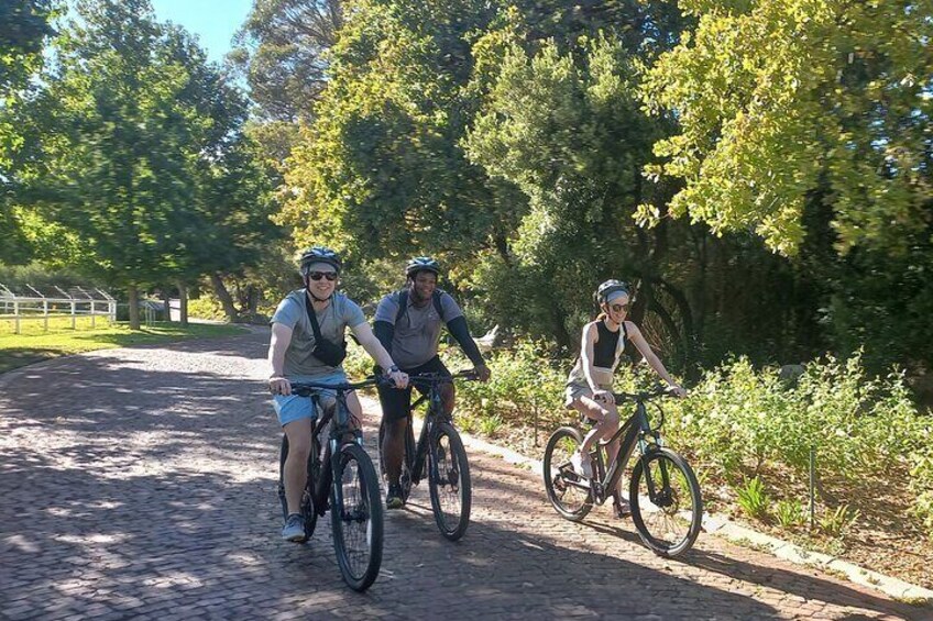 Franschhoek Private E-bike and Wine Tour