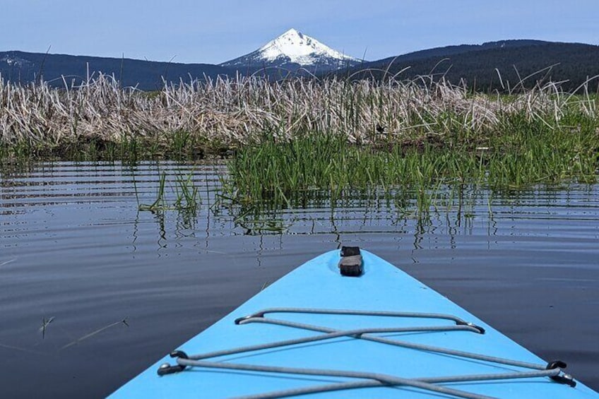 Guided Half-Day Kayak Tour