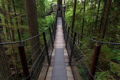 Private Grouse Mountain and Capilano Park Tour in Vancouver