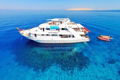 Private Ras Mohamed and White Island Boat Charter