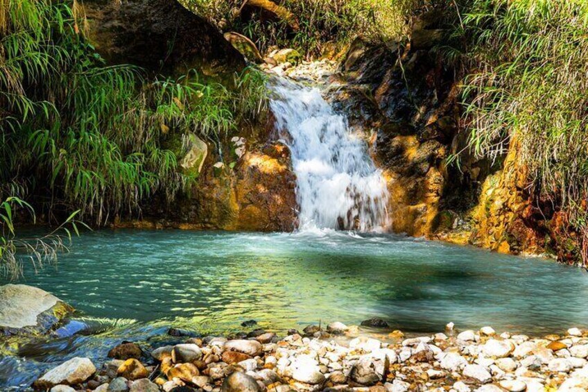 Full Day Private Hike Tour from Dominica