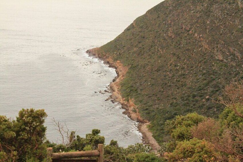 Fantastic scenery from the cliffs of the Cape Point Nature Reserve