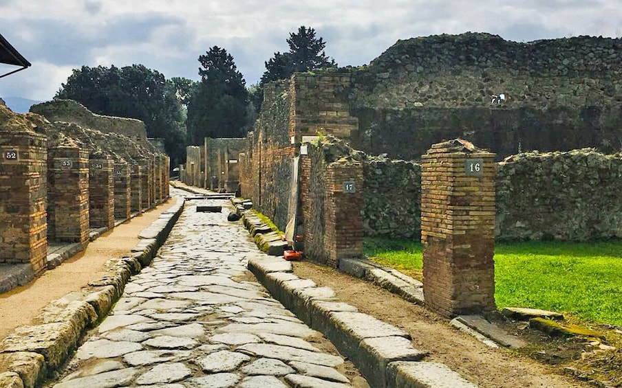 Naples and Pompeii smart day tour from Rome