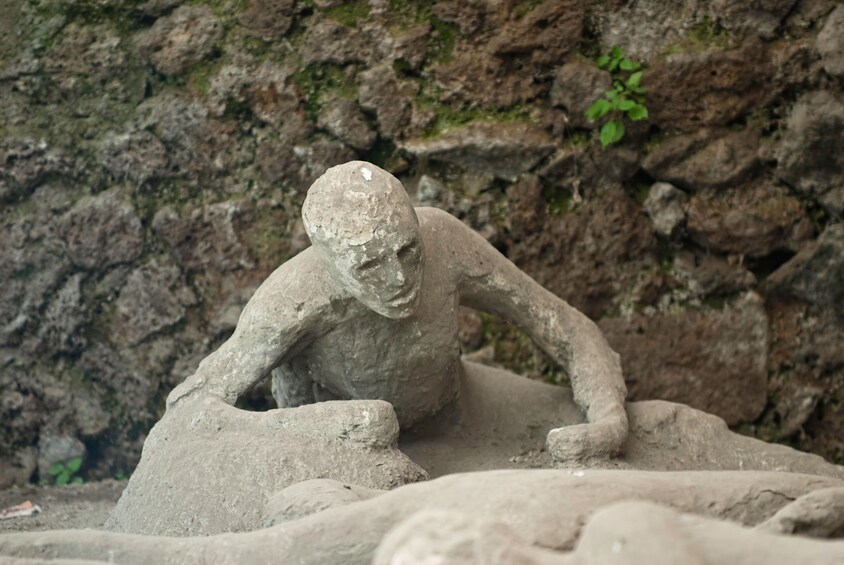 Naples and Pompeii smart day tour from Rome