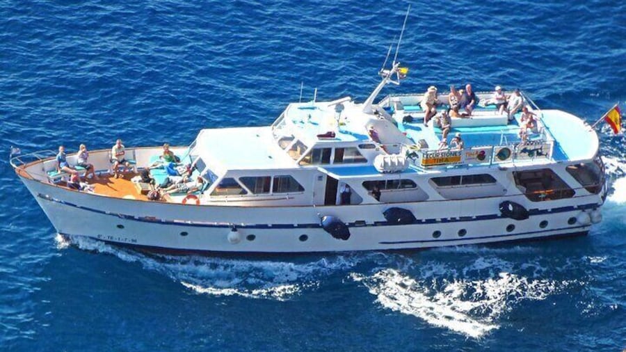 3 Hours Boat Excursion for whale watching in La Gomera