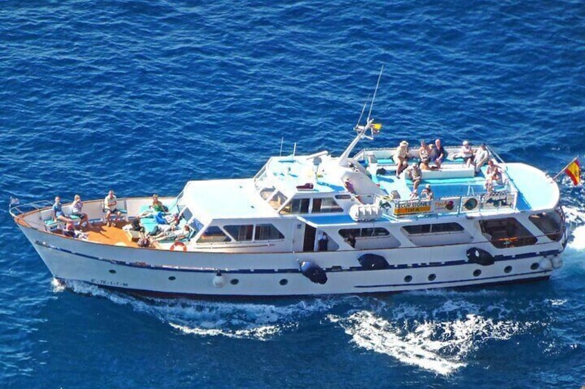 3 Hours Boat Excursion for whale watching in La Gomera