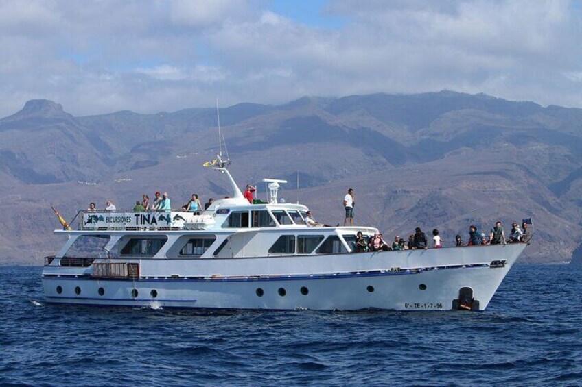 3 Hours Boat Excursion for whale watching in La Gomera