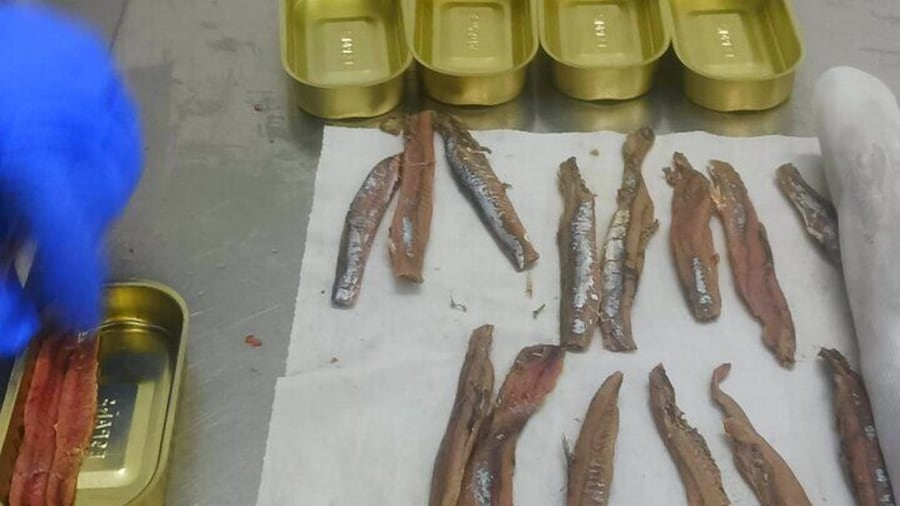During the visit we will see the process of making the anchovy fillet from its arrival at the factory to its release for sale.
