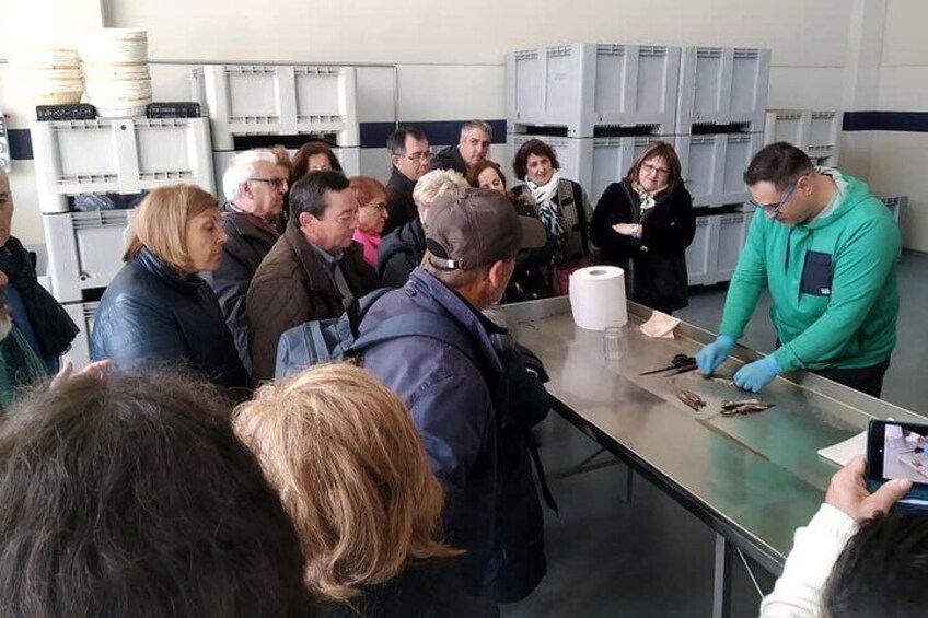 During the visit we will see the process of making the anchovy fillet from its arrival at the factory to its release for sale.