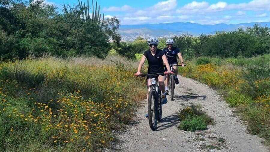 Excellent trail for Beginner/Intermediate levels.