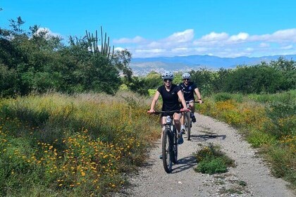 Tour en Bicicleta MTB: Árbol del Tule por la montaña