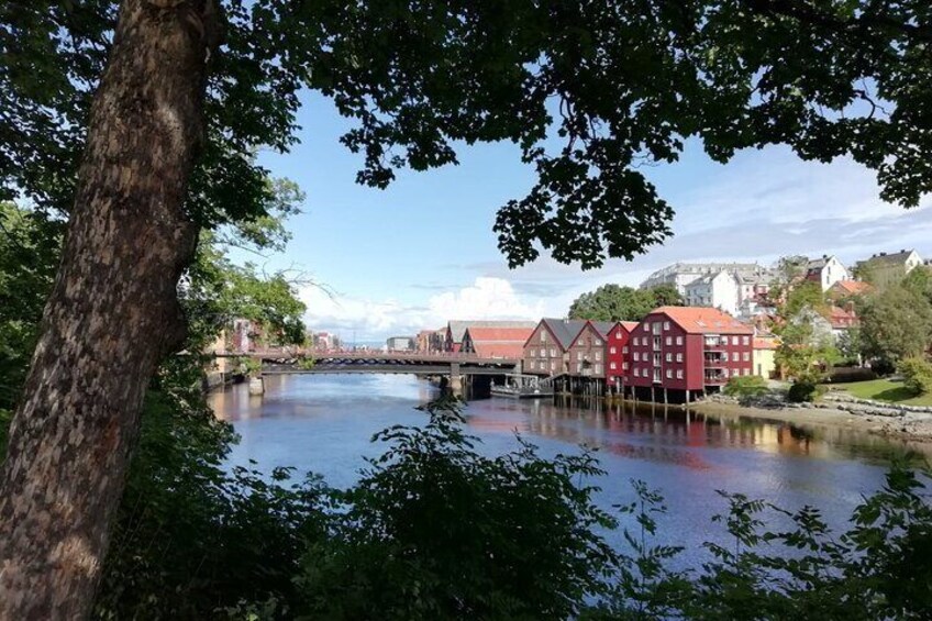 2 Hour City Walk through Trondheim