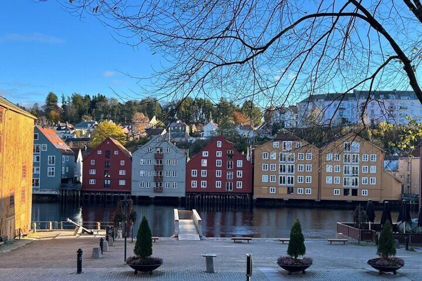 Half-Day Highlights of Trondheim by Bus and City Walk