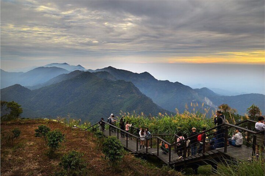 Private Tour Alishan Culture and Ecology from Kaohsiung