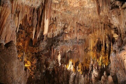 Tour of the Caves Between Land and Sea Castellana and Polignano