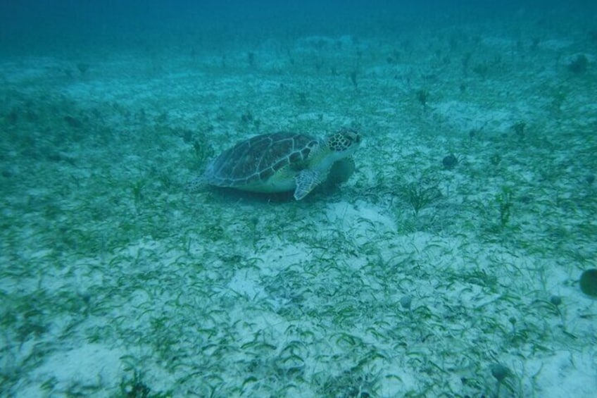 Full Day Charter from Fajardo to Culebra