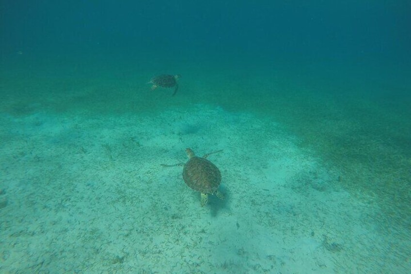 Full Day Charter from Fajardo to Culebra