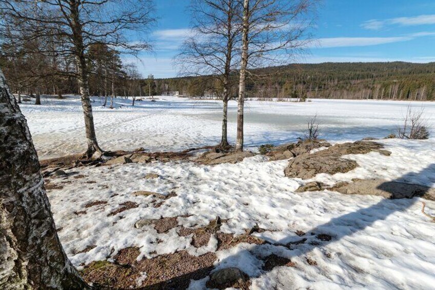 Oslo Summit Tour: A Scenic Hiking Adventure to Vettakollen