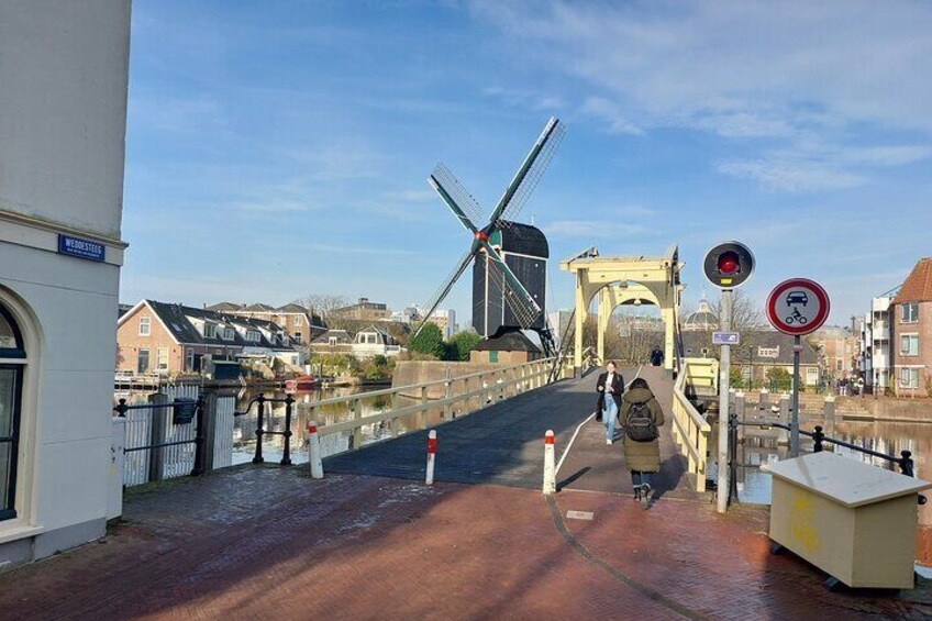 Historical Leiden: Private Tour with Local Guide