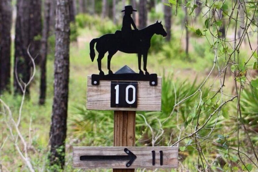 Lake Louisa State Park trail marker. 