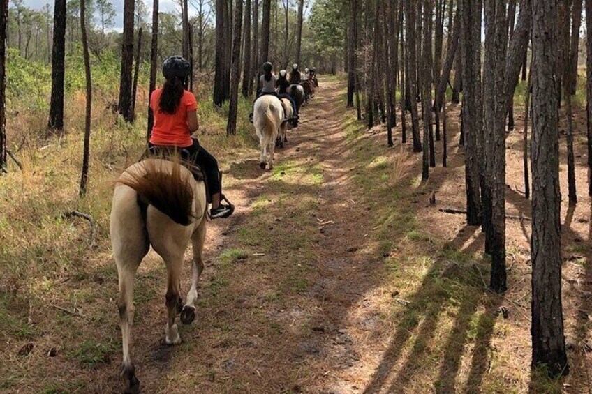 Horseback ride around Bear Lake. 