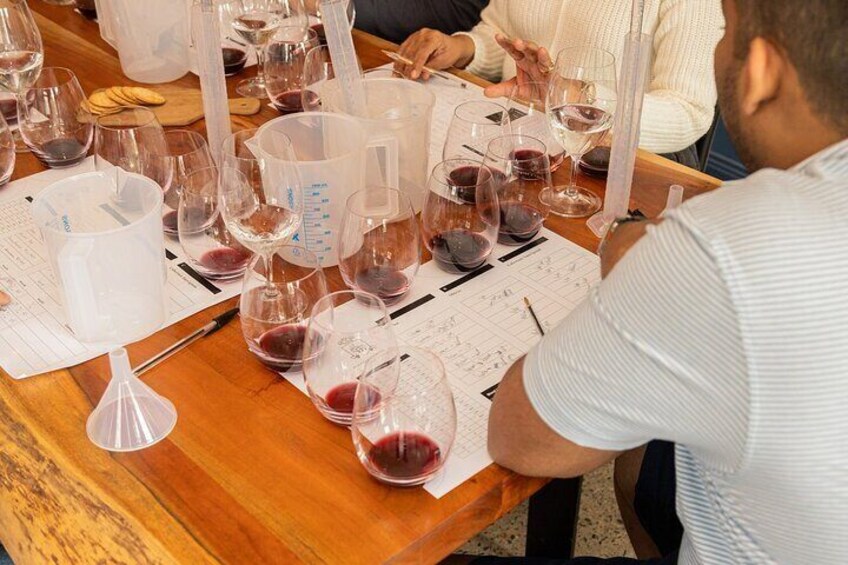 Winemaking Class at McCaffrey's Estate