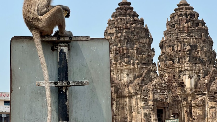 Unseen Lopburi: The Land of Monkey
