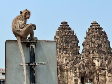Lopburi yang Tak Terlihat: Negeri Monyet
