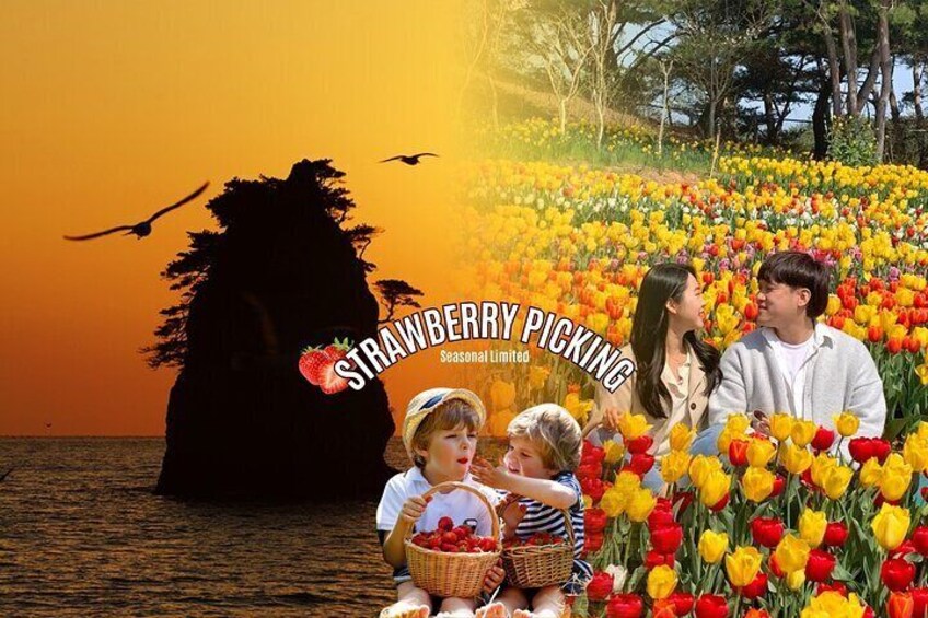 Taean Tulip Festival, Kkotji Beach & Strawberry Picking Day Tour