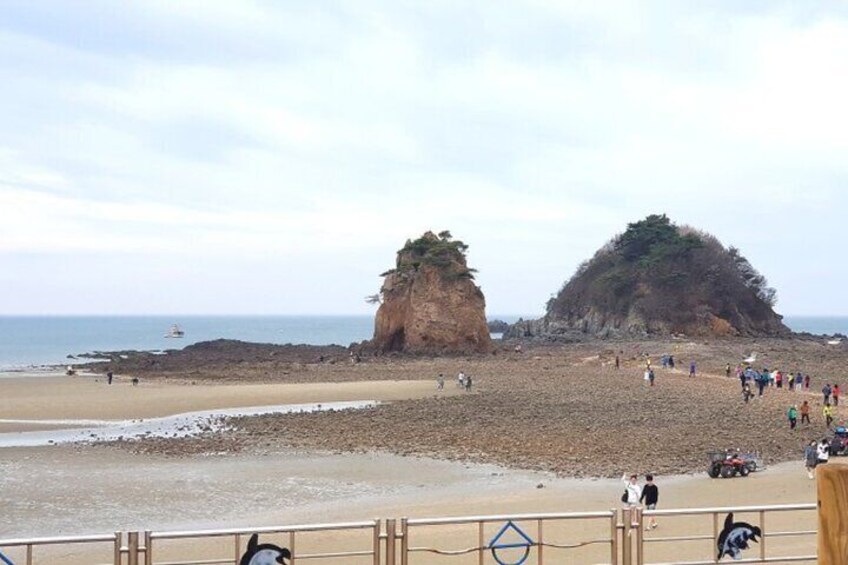 Taean Tulip Festival, Kkotji Beach & Strawberry Picking Day Tour