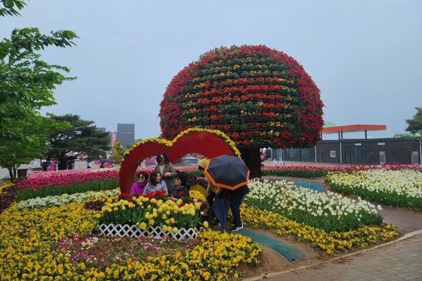 Taean Tulip Festival, Kkotji Beach & Strawberry Picking Day Tour