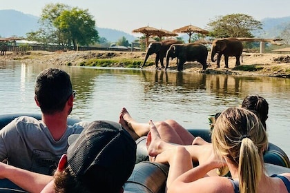 Chiangmai half day package tour- Waterfall & Tubing only