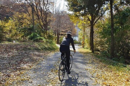 Han River Cycling Expedition in Seoul