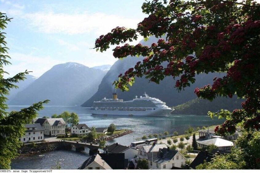 Shared Tour of Geiranger from Hellesylt