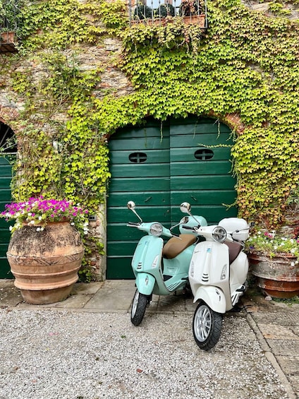 Explore the Rolling Hills of Lucca on a Vespa 125 Primavera