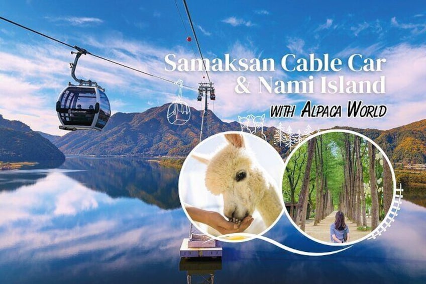 Samaksan Cable Car &Nami Island with Alpaca