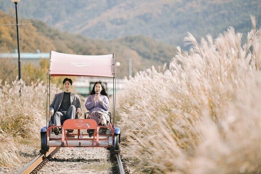 Samaksan Cable Car &Nami Island with Alpaca