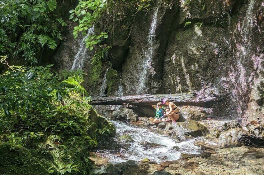 Wildlife Hike Middleham Falls