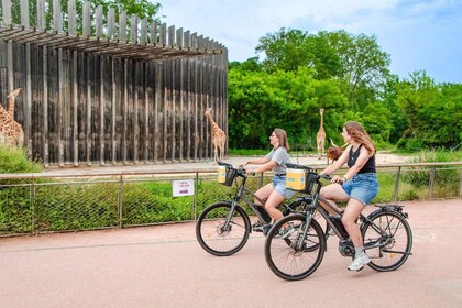 Alquile una bicicleta eléctrica durante medio día (-4h)