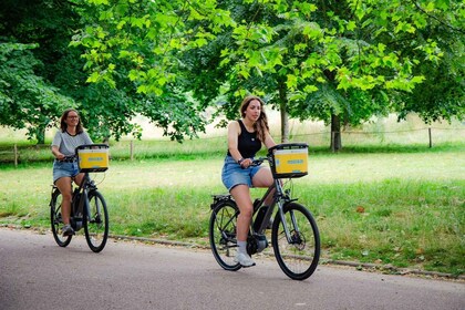 Alquiler de bicicleta eléctrica por un día (+4h)