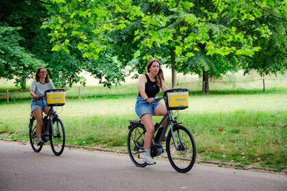 Alquiler de bicicleta eléctrica por un día (+4h)