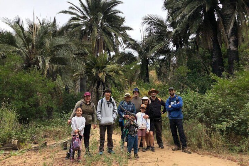 Private excursion to the palm forest in Viña del Mar