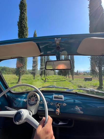 Picture 4 for Activity Fiat 500: Self-Tour in the Tuscan countryside