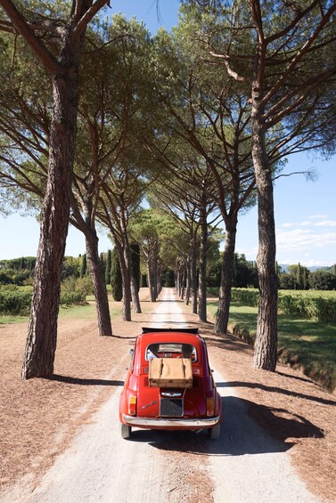 Picture 5 for Activity Fiat 500: Self-Tour in the Tuscan countryside