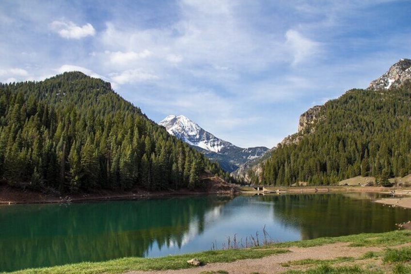 Private Half-Day Drive or Hike through Salt Lake's Canyons