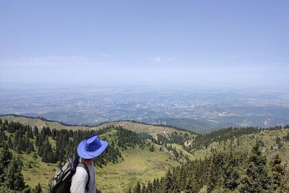Mountain pasture Kok Zhailau The most popular trekking in Almaty