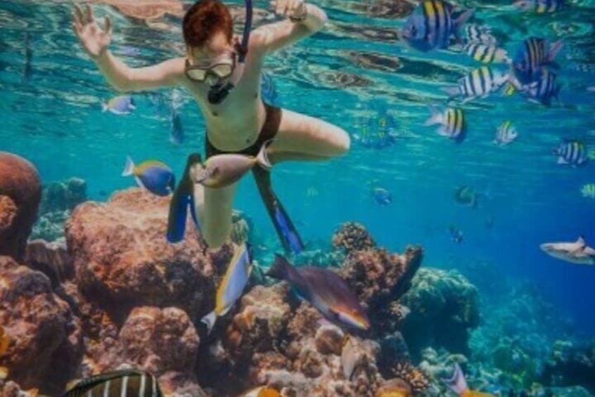 Snorkeling and Margaritaville in Montego