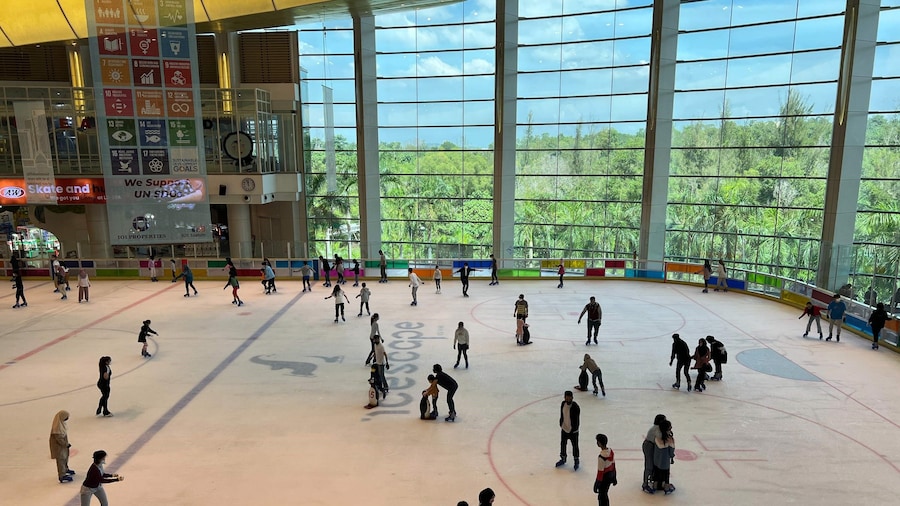 Ice Skating Experience at IOI City Mall in Putrajaya