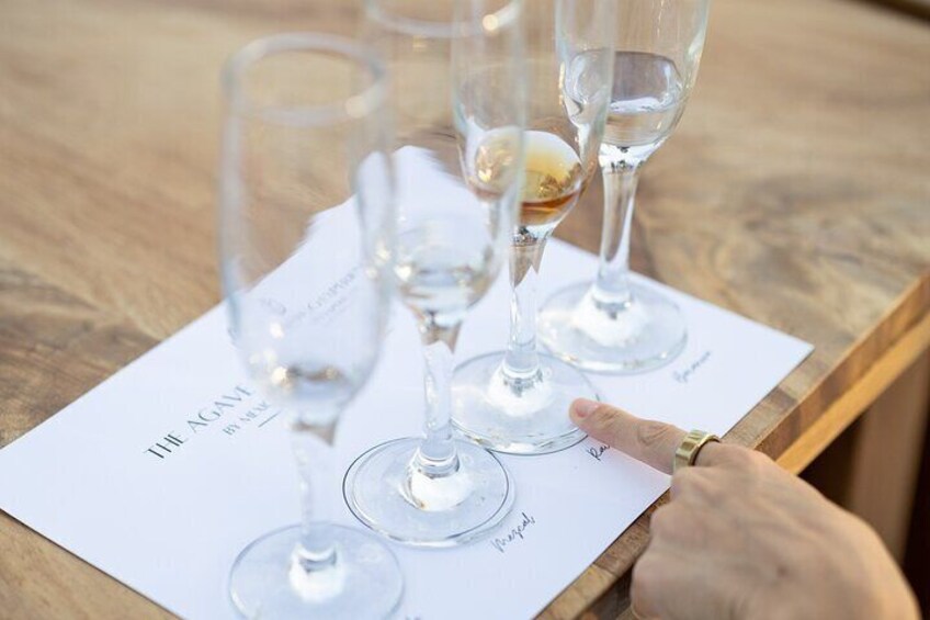 The Ultimate Agave Tasting with Tequila, Mezcal & more!